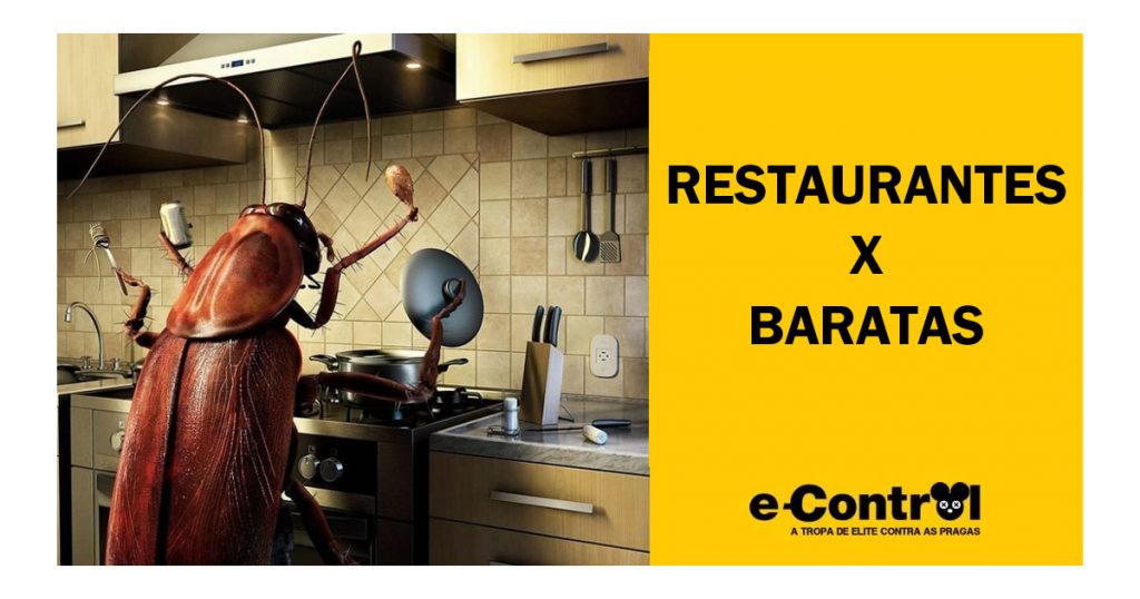 Controle de pragas Dedetização ratos baratas