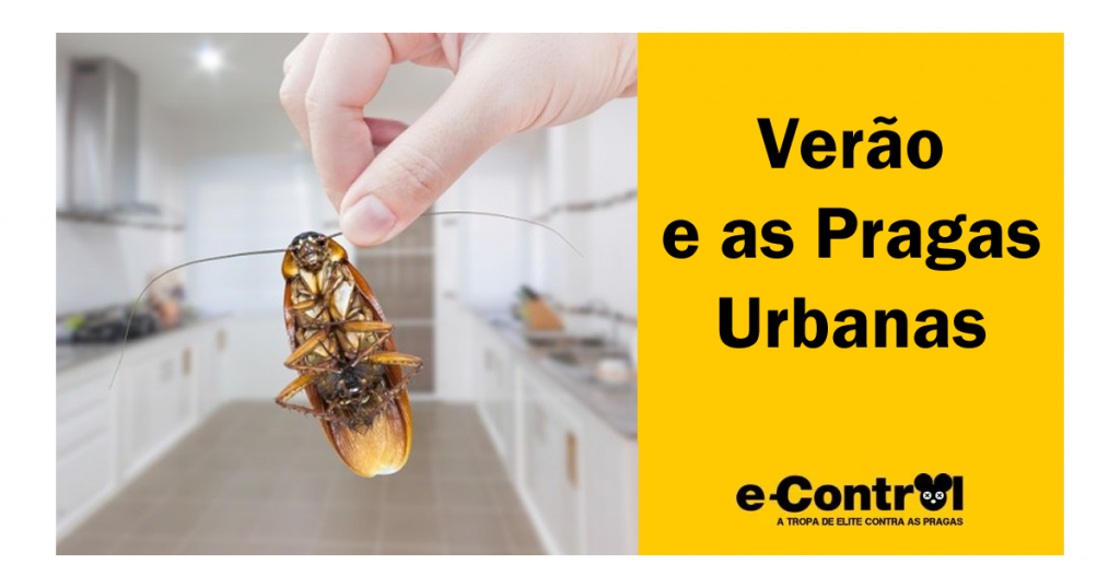 Controle de pragas Dedetização ratos baratas