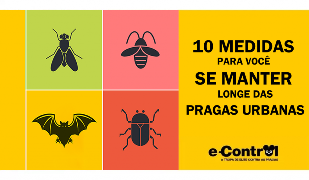 Controle de pragas Dedetização ratos baratas