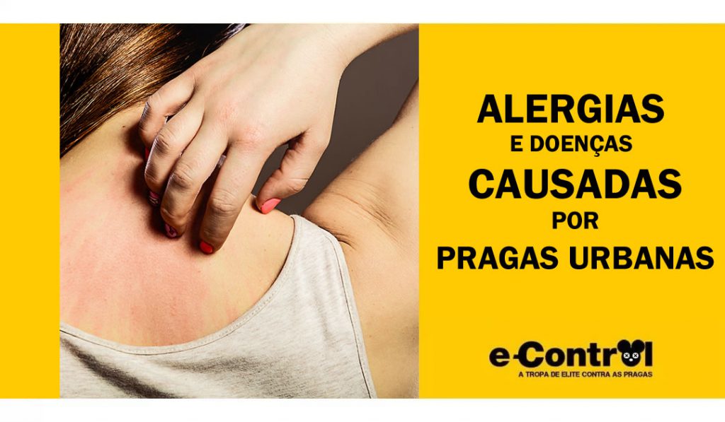 Controle de pragas Dedetização ratos baratas