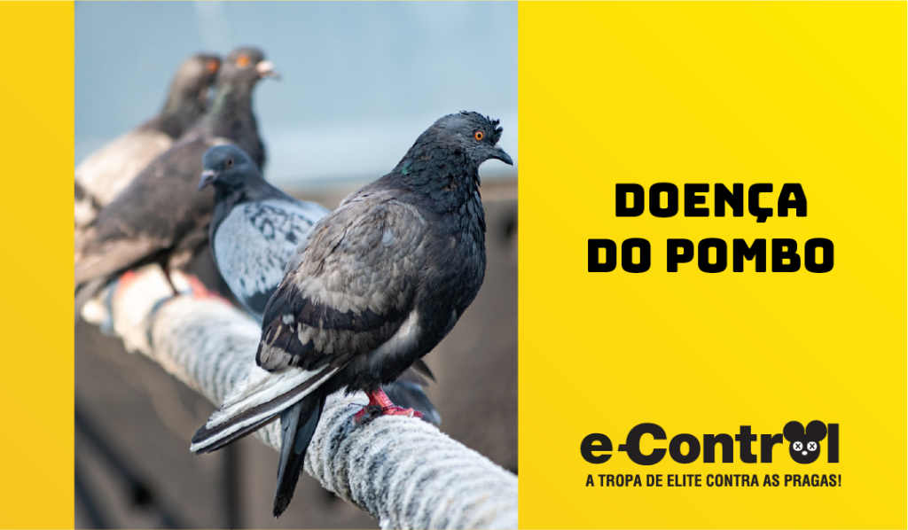 Banner controle de Praga