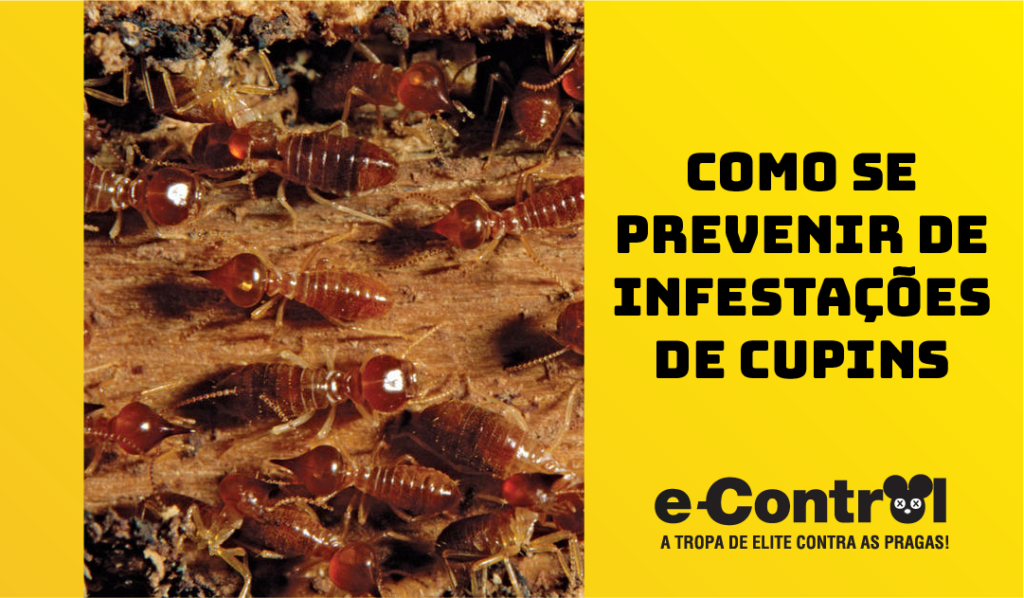 Banner controle de Praga
