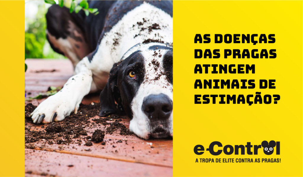 Banner controle de Praga