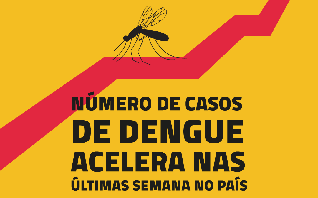 Casos de dengue no Brasil em 2020 ultrapassam 700 mil em meio à pandemia da COVID-19